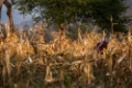 Date: samedi, 9. juin 2012 Camera: Canon Canon EOS 5D Focal length: 300.0 Shutter: 1/400 Aperture: F/6.3 ISO: 200 