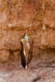 Date: samedi, 9. juin 2012 Camera: Canon Canon EOS 5D Focal length: 70.0 Shutter: 1/125 Aperture: F/7.1 ISO: 320 