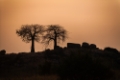 Date: dimanche, 10. juin 2012 Camera: Canon Canon EOS 5D Focal length: 275.0 Shutter: 1/3200 Aperture: F/5.6 ISO: 200 