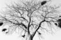 Date: lundi, 11. juin 2012 Camera: Canon Canon EOS 5D Focal length: 28.0 Shutter: 1/1250 Aperture: F/6.3 ISO: 200 