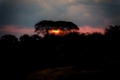 Date: lundi, 11. juin 2012 Camera: Canon Canon EOS 5D Focal length: 250.0 Shutter: 1/250 Aperture: F/5.6 ISO: 640 