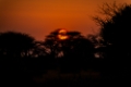 Date: mardi, 12. juin 2012 Camera: Canon Canon EOS 5D Focal length: 300.0 Shutter: 1/1000 Aperture: F/5.6 ISO: 400 
