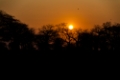 Date: mardi, 12. juin 2012 Camera: Canon Canon EOS 5D Focal length: 130.0 Shutter: 1/2500 Aperture: F/5.6 ISO: 200 