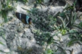 _MG_7156.jpg