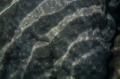 _MG_7243.jpg