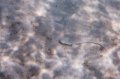 _MG_7052.jpg