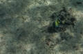 _MG_7282.jpg