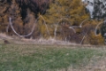 Date: Wednesday, November 09, 2011 