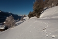 _MG_2880.jpg