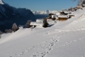 _MG_2927.jpg
