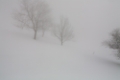 _MG_2745.jpg