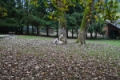 Date: Sunday, October 16, 2011 